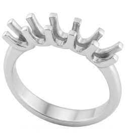 Anello veretta a U