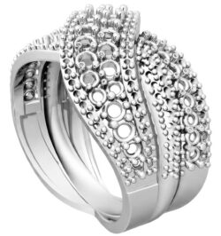 Anello Fascia X