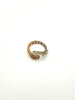 ANELLO INCONTRO