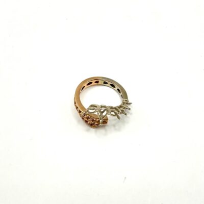 ANELLO INCONTRO