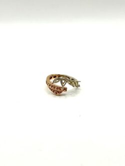 ANELLO INCONTRO